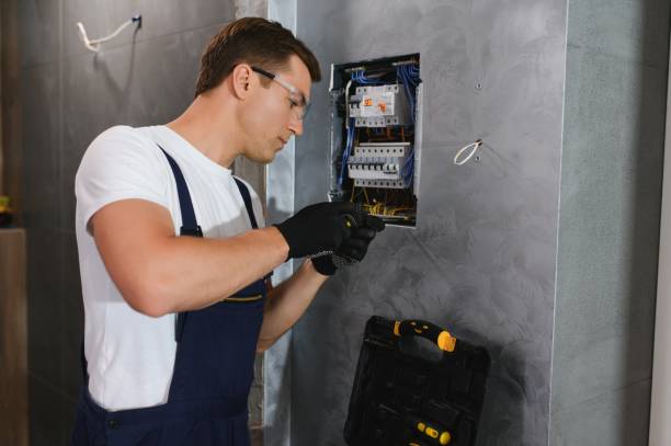 Best Electric Panel Repair  in Gateway, AK